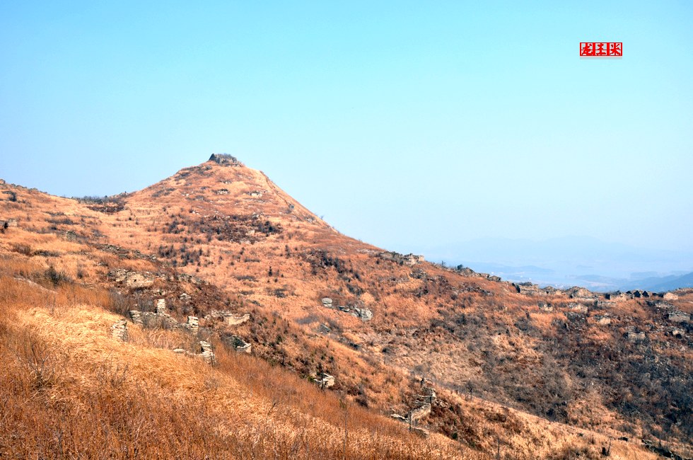dsc_0590.jpg