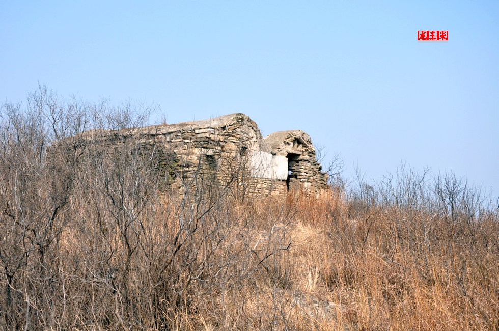dsc_0610.jpg