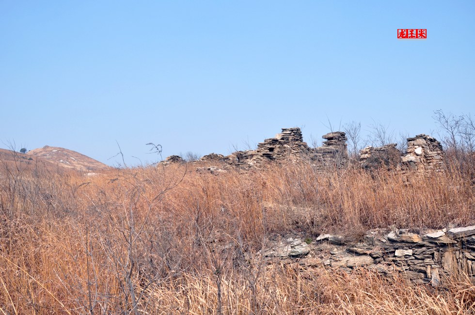 dsc_0617.jpg