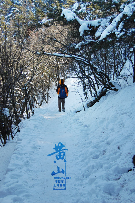 huangshan20120126_08252.jpg