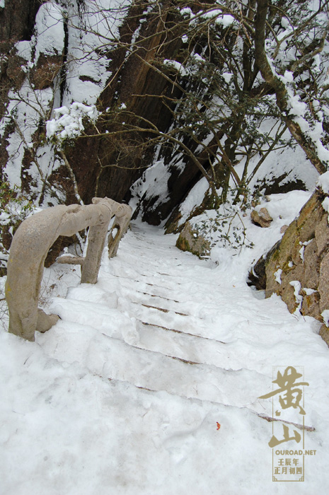 huangshan20120126_09472.jpg