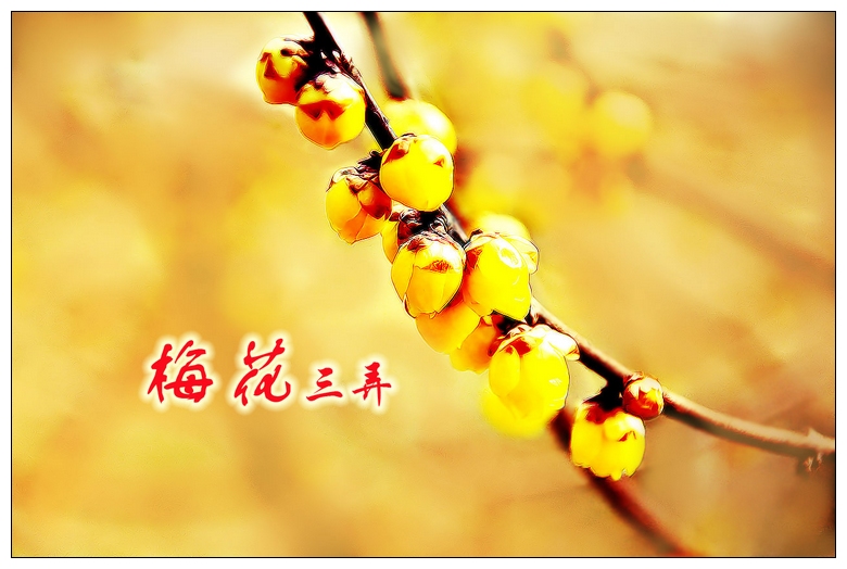 neo_img_pdsc_4740.jpg