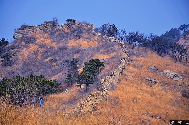 dsc_1295.jpg