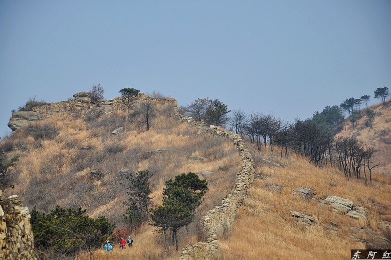 dsc_1294.jpg