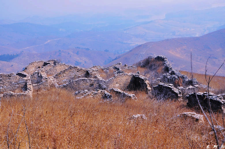 dsc_1225.jpg