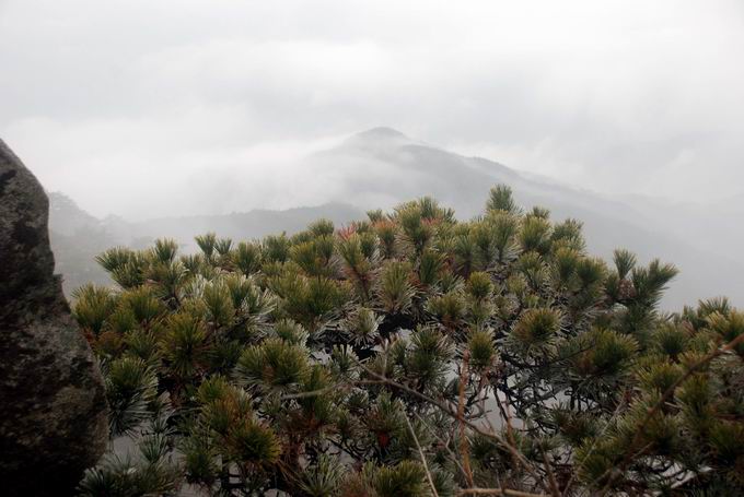 С dsc_0144.jpg
