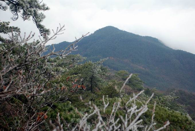 С dsc_0149.jpg