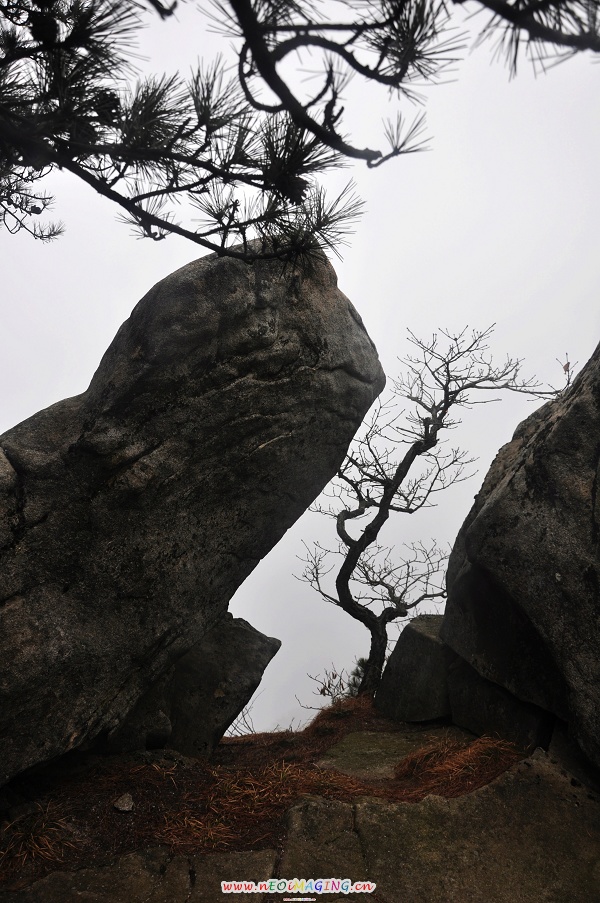 dsc_0084.jpg