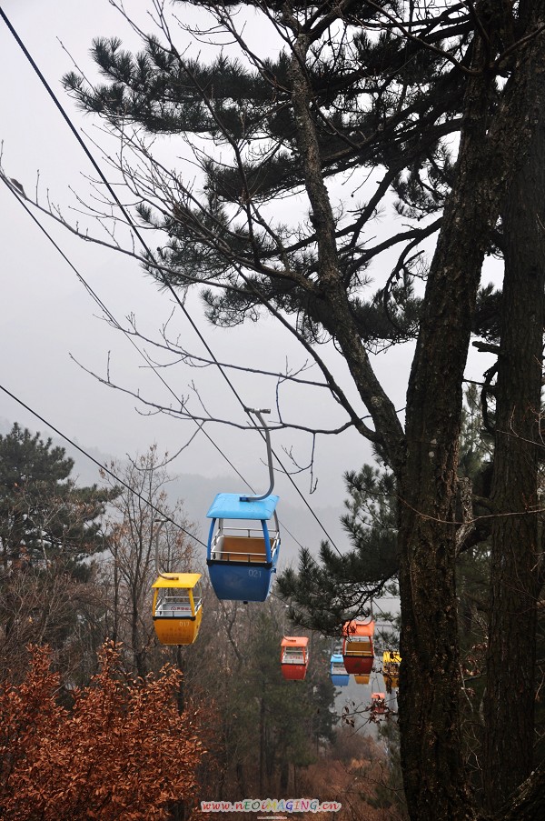 dsc_0115.jpg