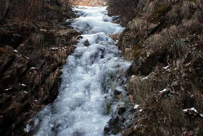 С dsc_0208.jpg