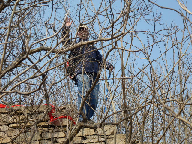 p1030265.jpg