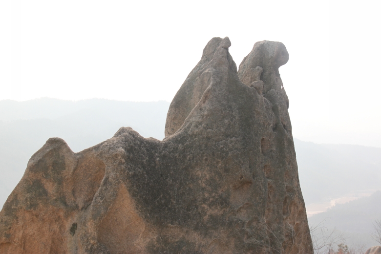 120218ĵװկ 107_conew1.jpg