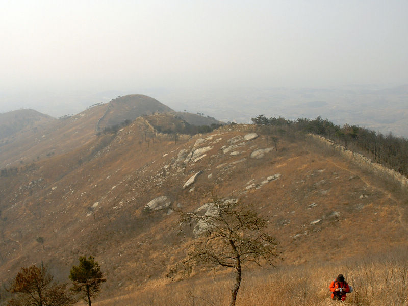  dscn0290.jpg