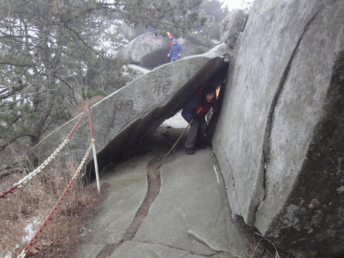 dsc08652.gif
