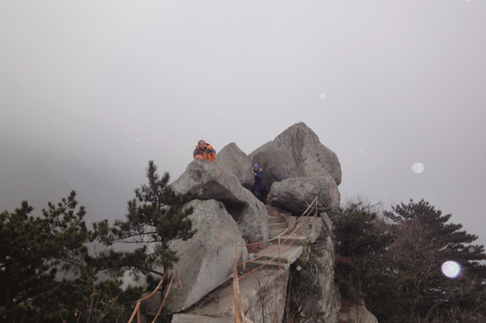 dsc08666.gif