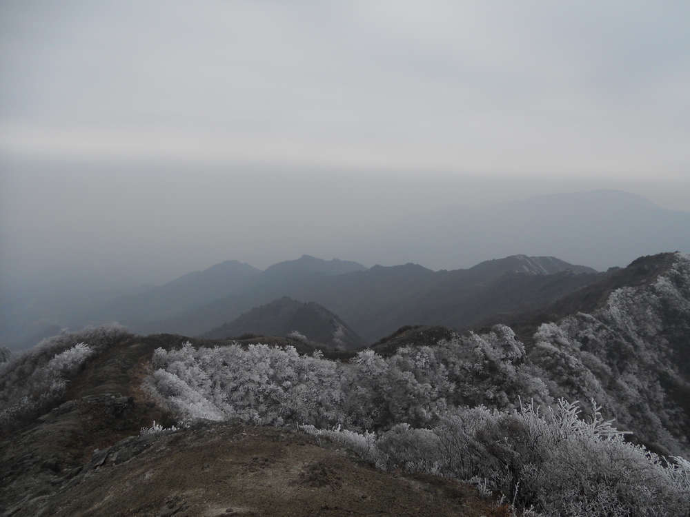 ۺ 3674.jpg