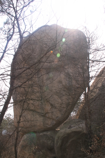 120218ĵװկ 287_conew1.jpg