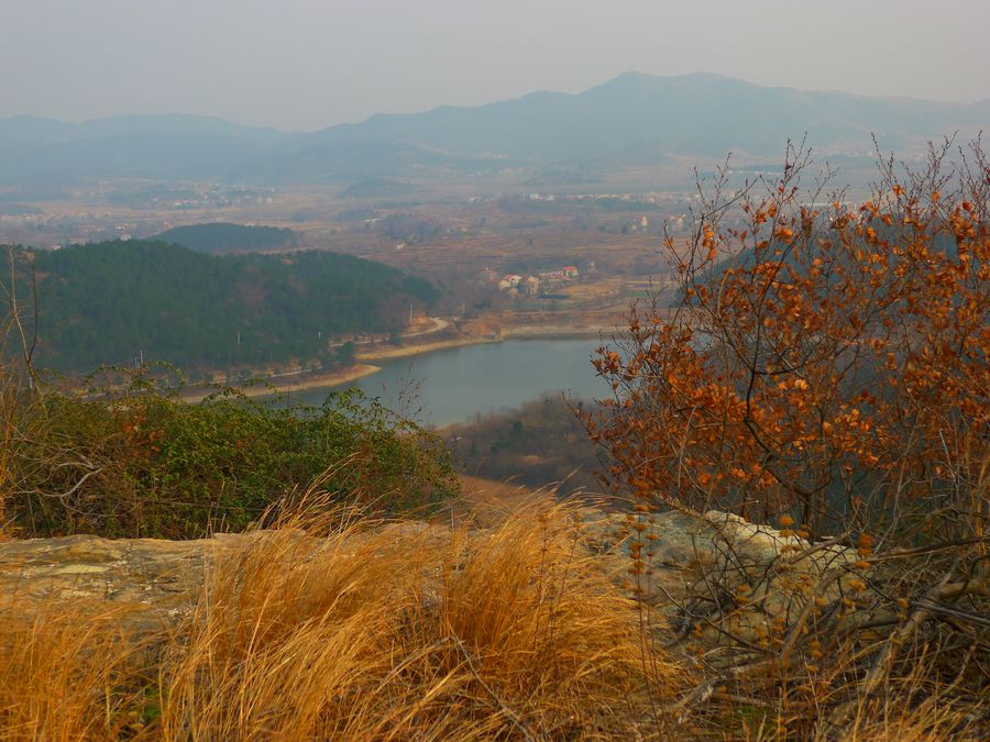 p1180428.jpg