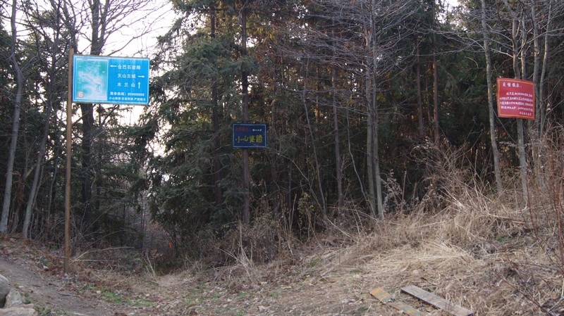 dsc09198.jpg