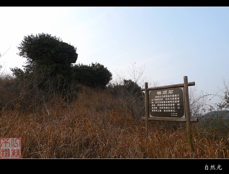l1300231.jpg