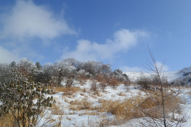 20122200220865.jpg