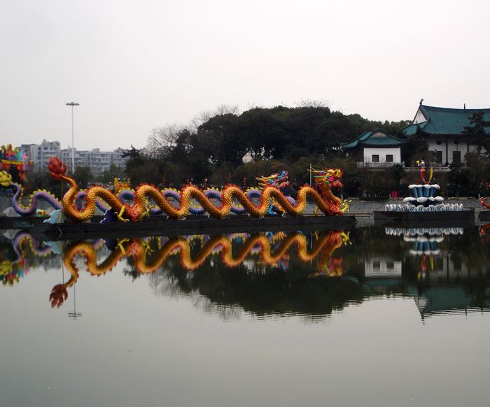 dsc07047.jpg