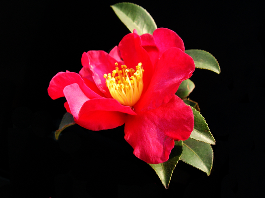 dscn3284111.jpg