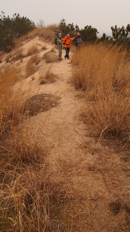 dsc09247.jpg
