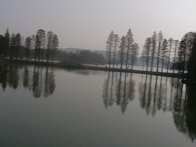 imga0234.jpg