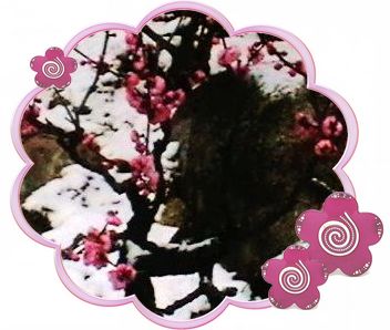 imga0056.jpg