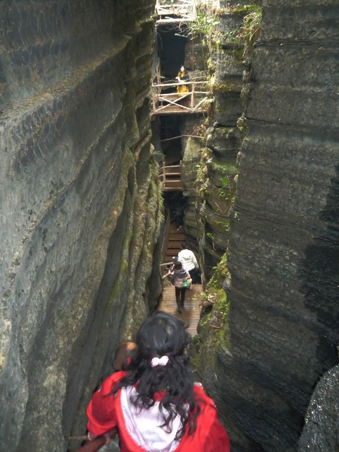 p1150826.jpg