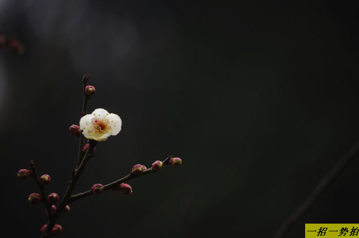 imgp6032.jpg