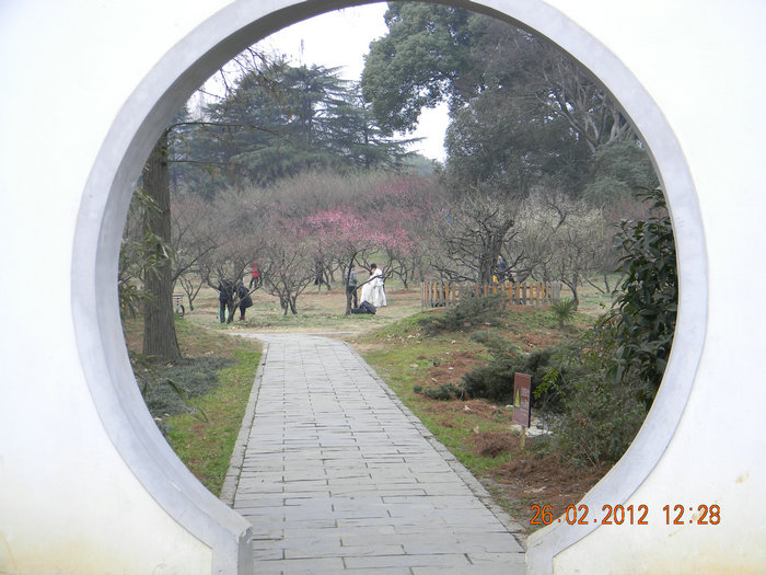 dscn4765.jpg