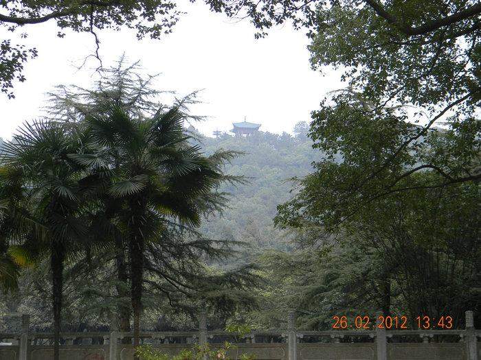 dscn4812.jpg