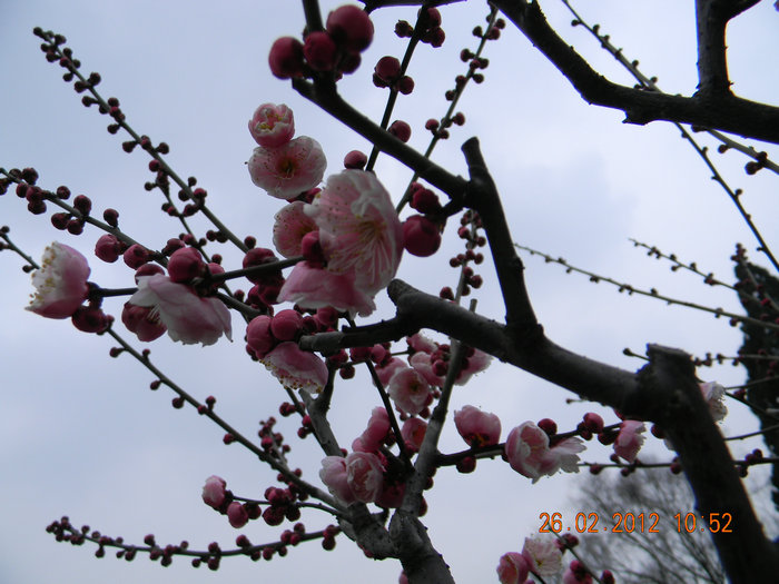 dscn4566.jpg