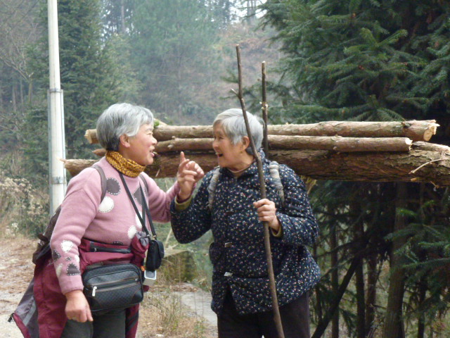 p1030591.jpg
