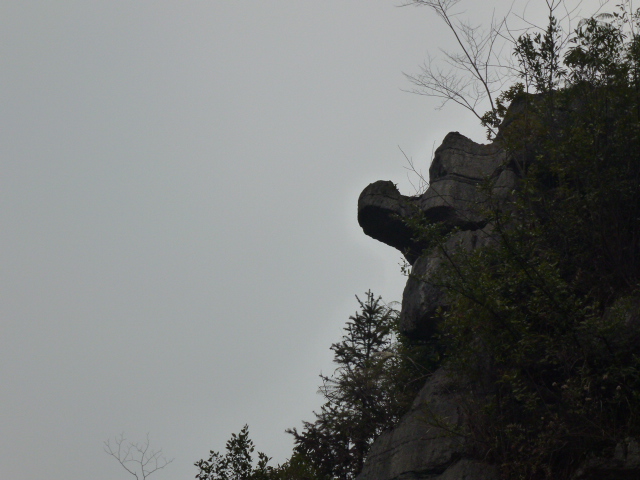 p1040334.jpg
