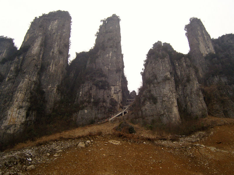  snc10010.jpg