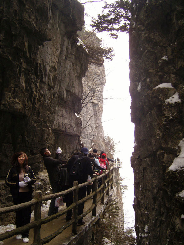  snc10041.jpg