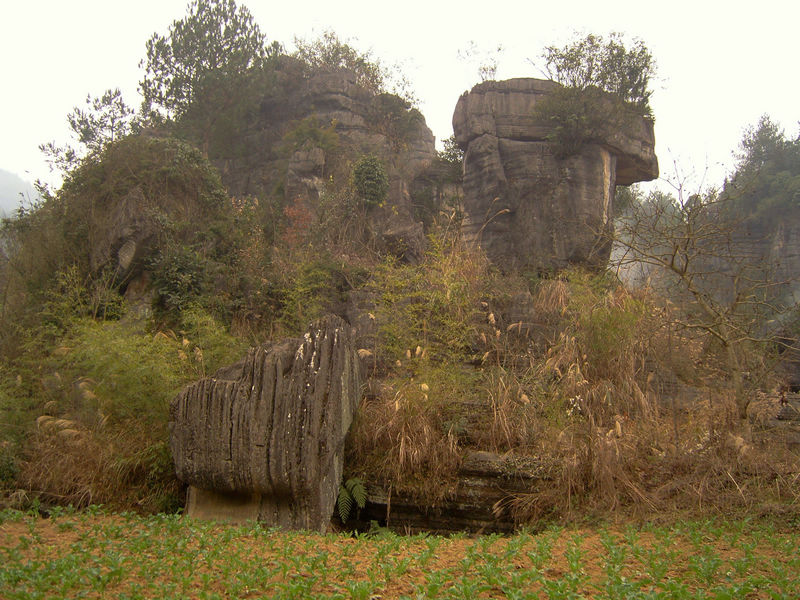  snc10195.jpg