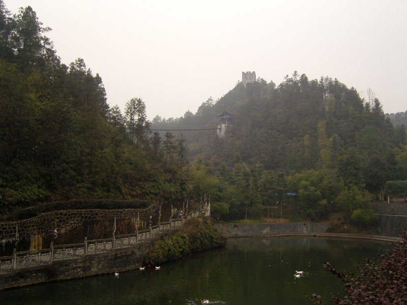  snc10236.jpg