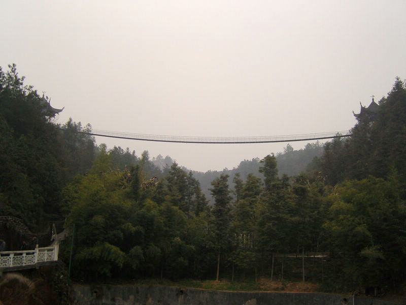  snc10239.jpg