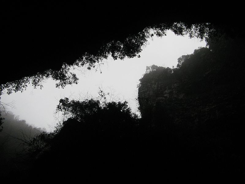neo_img_img_4397.jpg