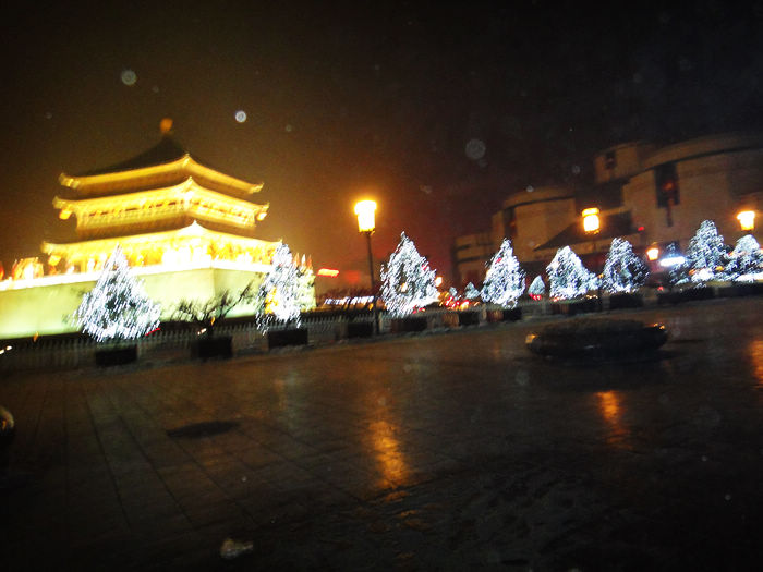 neo_img_dsc01591.jpg