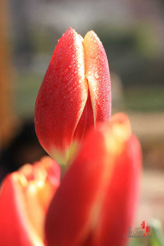 img_9005.jpg