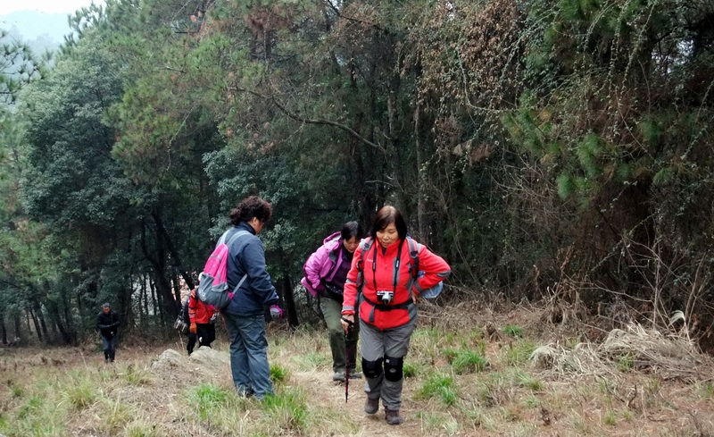 dscf9639.jpg