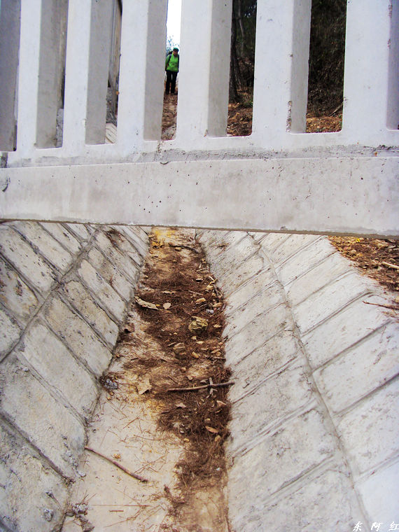 s73f1531.jpg