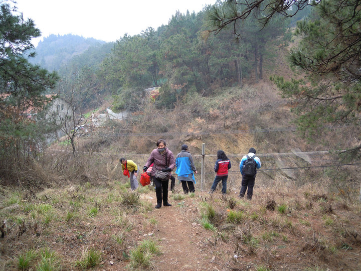 dscn7408.jpg
