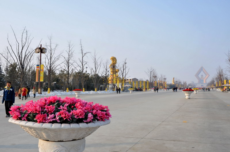 dsc_8290_СС.jpg