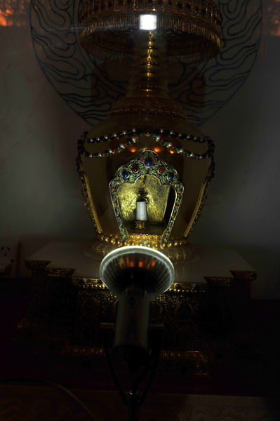 dsc_8387_СС.jpg